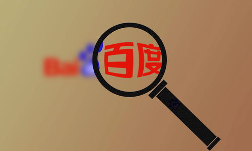 如何选择比较靠谱的蜘蛛池